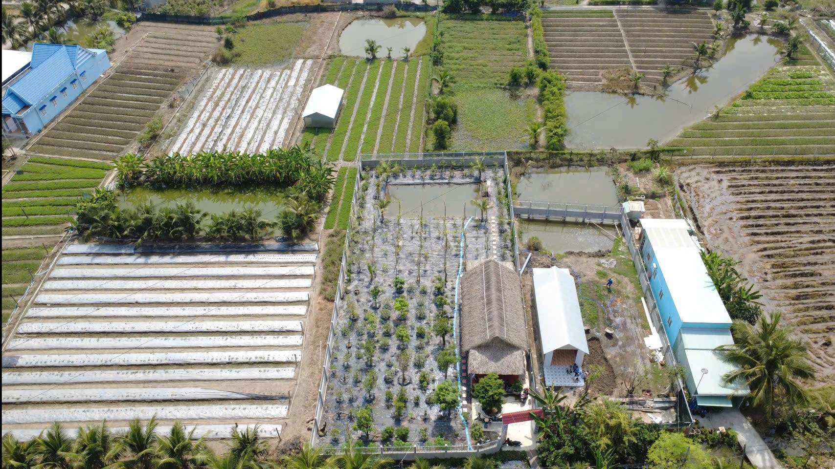 Bán đất vườn 980m² cần giuộc xã mỹ lộc đường bảy thuộc