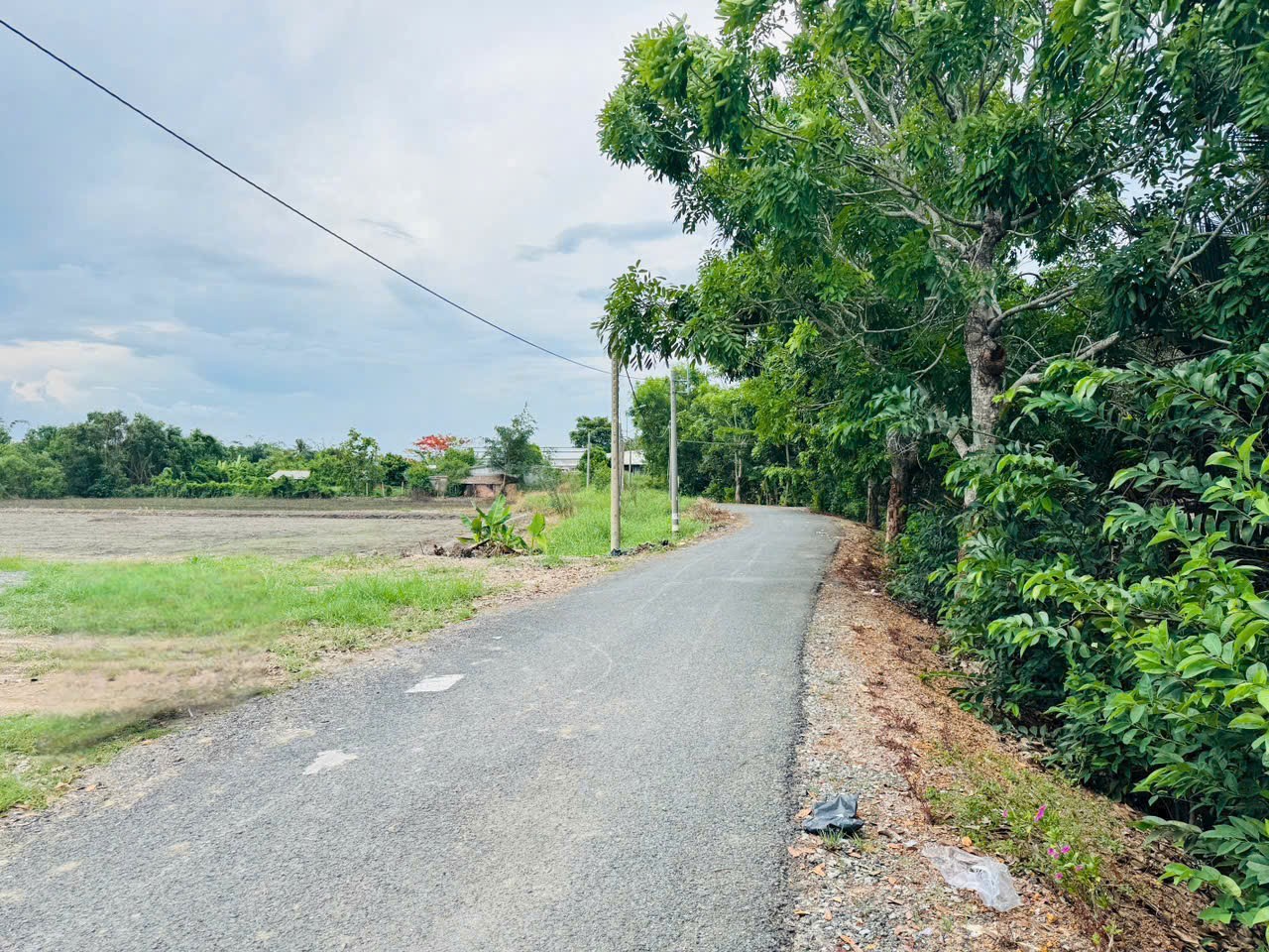 Bán đất phước hậu cần giuộc 1210m² đường nhựa 6m