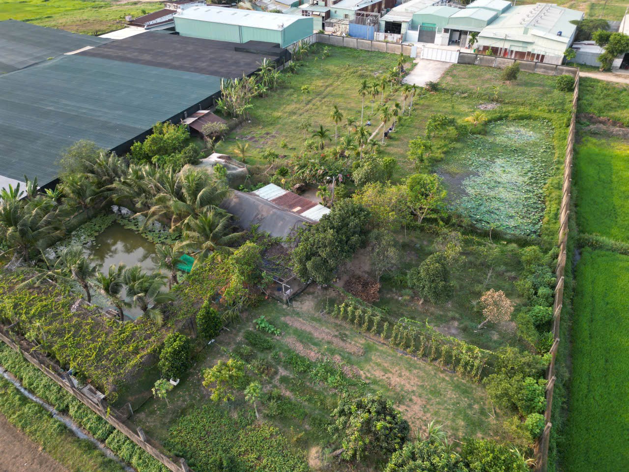 Bán nhà vườn nghỉ dưỡng 6.362m² tại xuân thới sơn, hóc môn