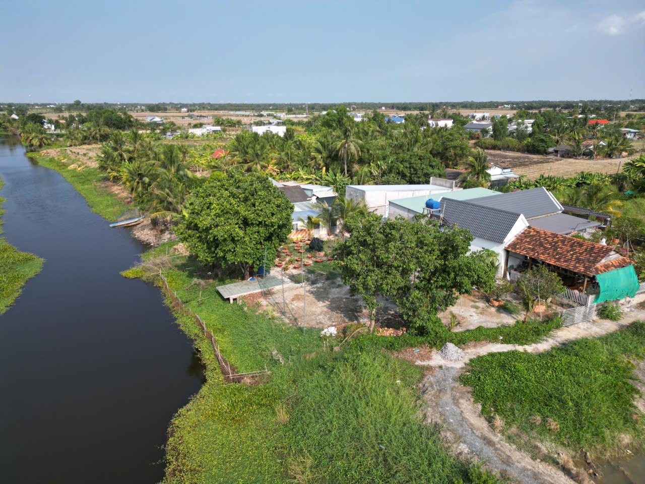 Bán nhà vườn cần giuộc view sông mồng gà 1.500m² giá chỉ 5.3 tỷ 