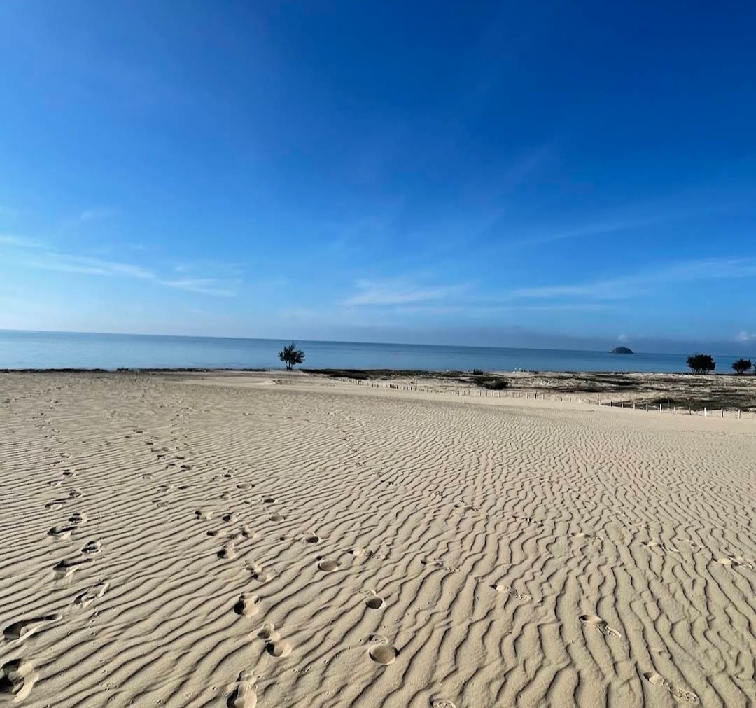 Sang nhượng dự án resort biển lagi – quy mô 8,2ha – 200m mặt tiền biển bình thuận