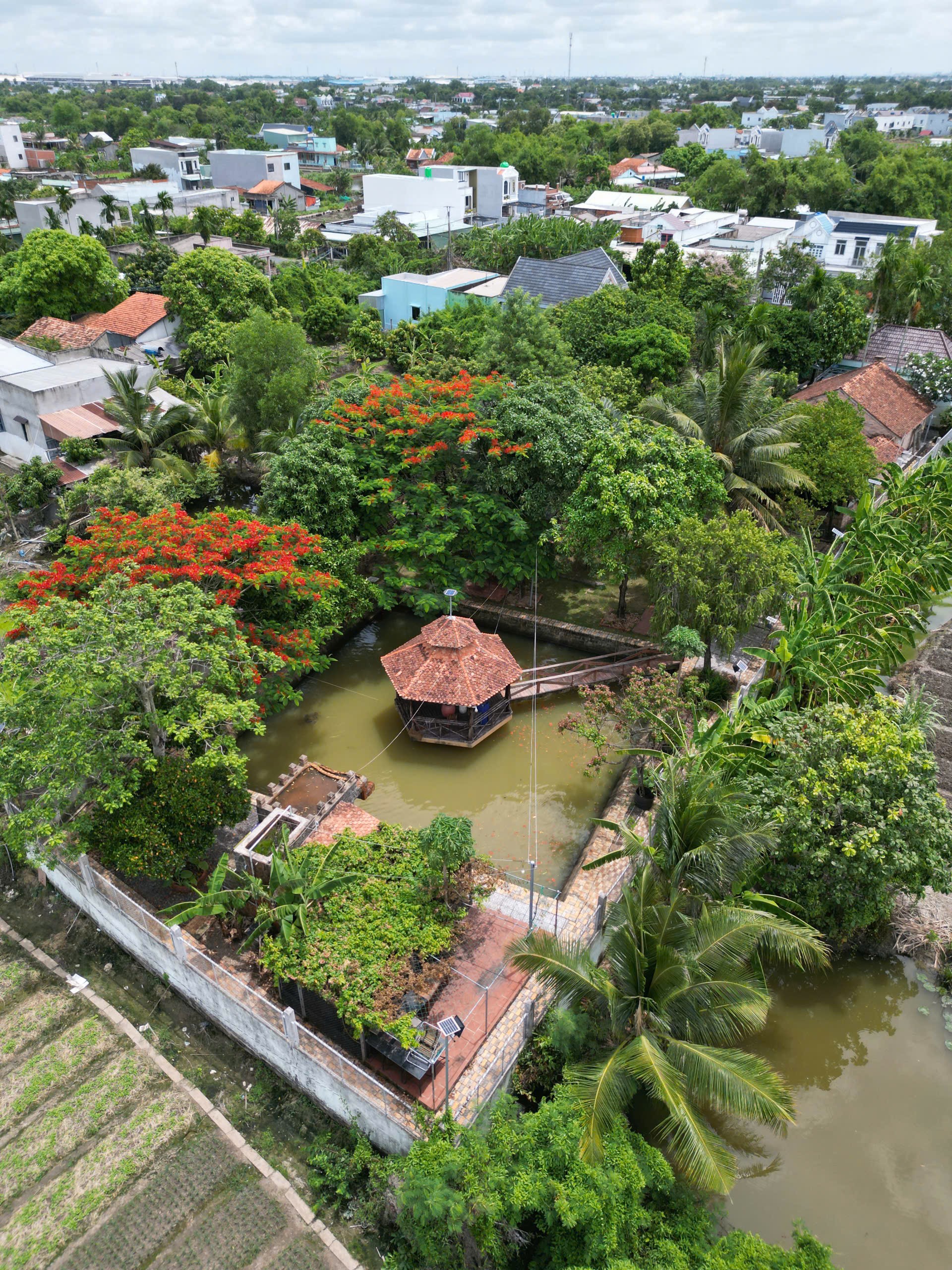 Bán nhà sân vườn 1.833m² cần giuộc long an không gian nghỉ dưỡng hiếm có